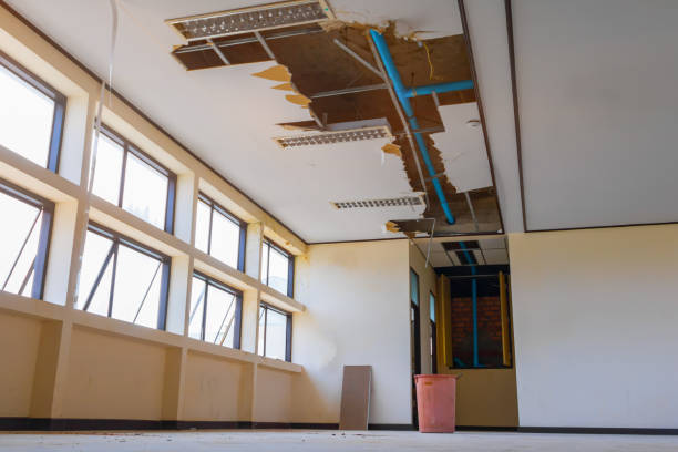 Best Professional water damage repair  in Point Of Rocks, MD