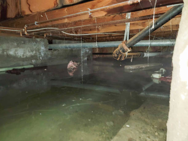  Point Of Rocks, MD Water damage restoration Pros