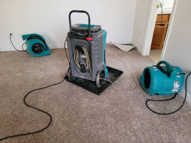 Best Residential water damage restoration  in Point Of Rocks, MD