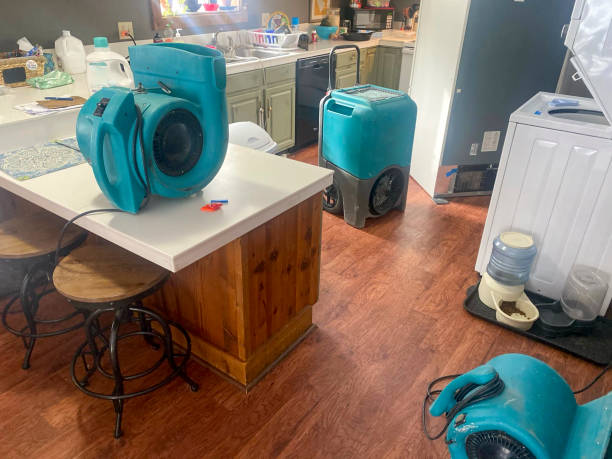 Best Mold removal after water damage  in Point Of Rocks, MD