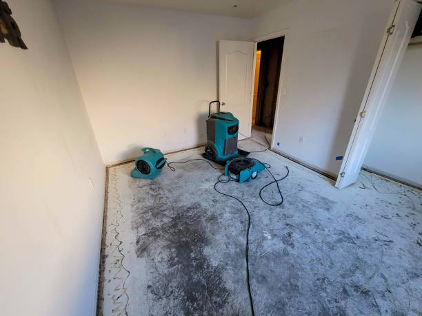 Best Sewage cleanup and water damage restoration  in Point Of Rocks, MD