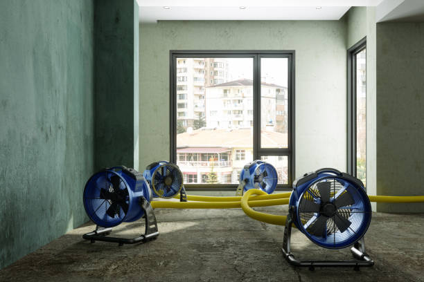 Best Basement water damage restoration  in Point Of Rocks, MD